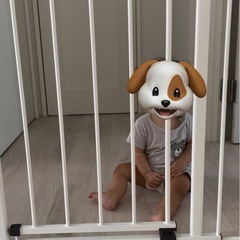 ベビーゲートの画像
