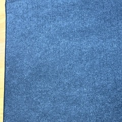 山善ホットカーペット★NUF-E201N★2019年せい製の画像