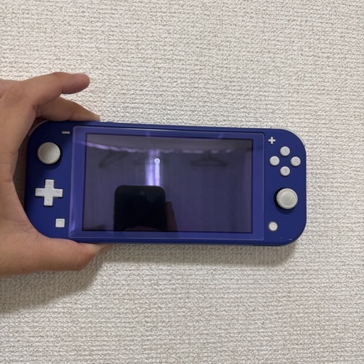 その他 Nintendo Switch Light