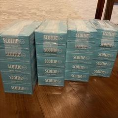 スコッティ テッシユ4つセットの画像