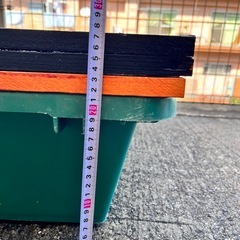 大きなトロ舟水槽🐢の画像
