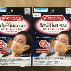【新品未使用】めぐりズム 蒸気でホットうるおいマスク 無香料 3枚入×2箱の画像