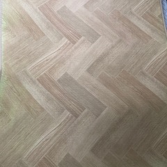 巨大道路マップ　オマケ恐竜乗り物の画像