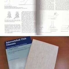 Kramer/Intervertrbral　Disk Diseases 医学書の画像