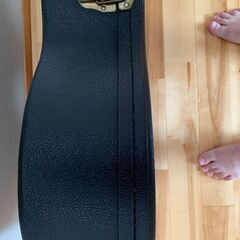 マーチン　ギター　ケースの画像