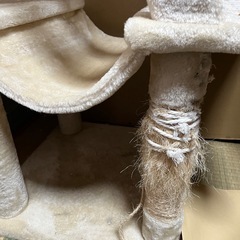 キャットタワー　スリム　使用感ありの画像