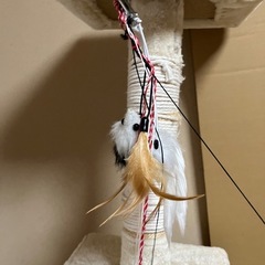 キャットタワー　スリム　使用感ありの画像