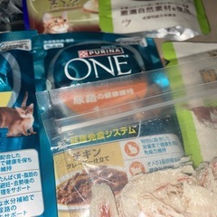 猫ごはん🍚の画像