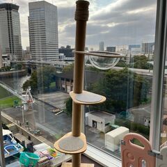木登りタワー・キャットタワー・猫タワー 宇宙船ハンモック付き 突っ張り 爪とぎ 全縄巻きの画像