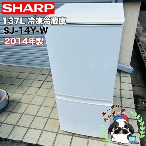 直接引き取り1,000円引き︎大阪府下又は近郊は配送設置込み SHARP 137L 冷凍冷蔵庫 SJ-14Y-W 2014年製/YMJ102-13
