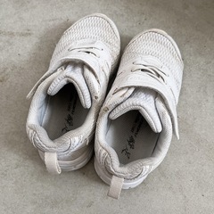 瞬足17cmの画像