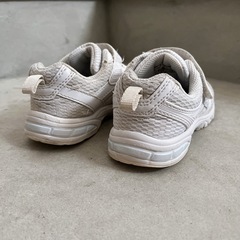 瞬足17cmの画像