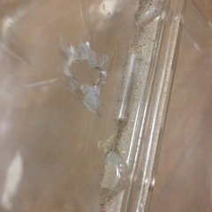 ハムスター飼育ケースの画像