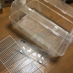 ハムスター飼育ケースの画像