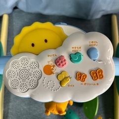 プーメリーの画像