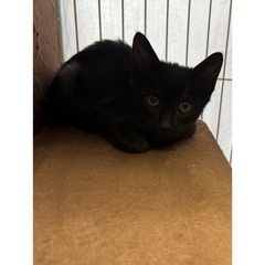 生後3ヶ月 男の子🖤⟡.·の画像