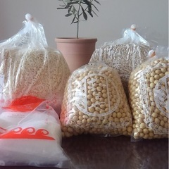 11/3（月祝）味噌作りとテーブル茶道体験 - 横浜市