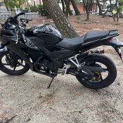 CBR250R ( 2016  )の画像