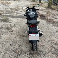 CBR250R ( 2016  )の画像
