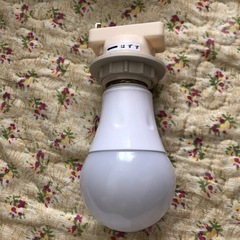 電球付きソケットの画像