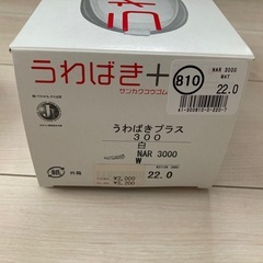 アキレスシューズ　上履き　22cmの画像