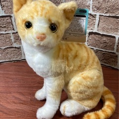 リアルアニマル 猫　ぬいぐるみ 5点セットの画像