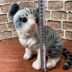 リアルアニマル 猫　ぬいぐるみ 5点セットの画像