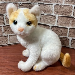 リアルアニマル 猫　ぬいぐるみ 5点セットの画像