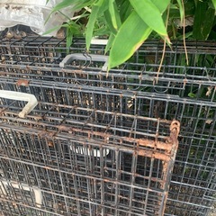 決まりました。大きなゲージ錆あります。４個の画像