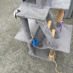 キャットタワーの画像