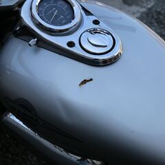 ホンダ V-ツイン マグナ250 『要整備車☆部品取りにも』　ステンワンオフマフラー★CCバー付きの画像