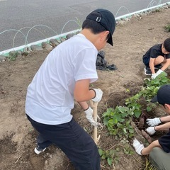 10/11、農家支援企画！さつまいも堀りのお手伝い！掘って掘って掘りまくれ！の画像