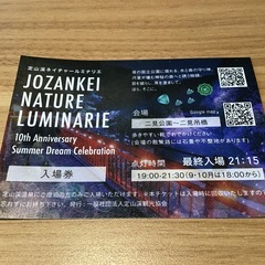 定山渓ネイチャールミナリエ  入場券 2枚の画像