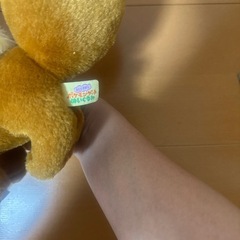 ポケモン　イーブイ　ぬいぐるみ　ポケモンゲットの画像