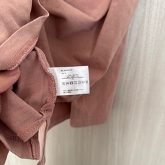 Tシャツ　レディース　Lサイズの画像
