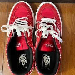 VANSスニーカーの画像