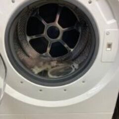 ID:605756　ドラム式洗濯機１２ｋ　東芝　２０２３年製の画像