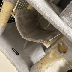 キャットタワーの画像