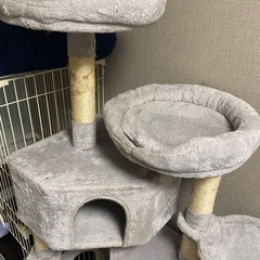 キャットタワーの画像