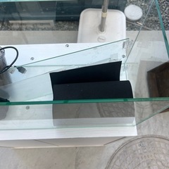 GEX 60cm水槽　& GEX水槽台セットの画像