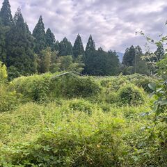 ビニールハウス　骨組みの画像