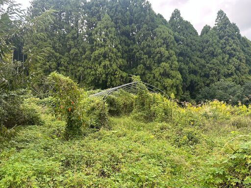 ビニールハウス　骨組み