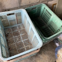 カゴの画像