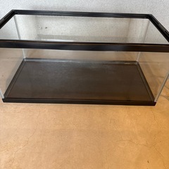 60㎝水槽台と水槽（60㎝50㎝）の画像