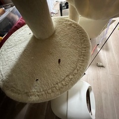 キャットタワー0円中古【10/15まで/沼袋】の画像