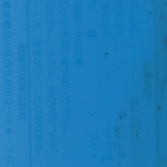メダカ　めだか　越冬　３６リットルタライ　青の画像