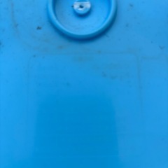 メダカ　めだか　越冬　３６リットルタライ　青の画像