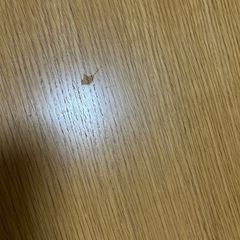 無印良品　リビングにもダイニングにもなるテーブルセット　5脚の画像