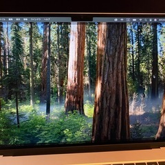Apple MacBook Air 15インチ M4,2025年モデル　256GB シルバー MW1G3J/A ほぼ未使用の画像