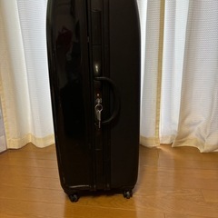スーツケース特大の画像